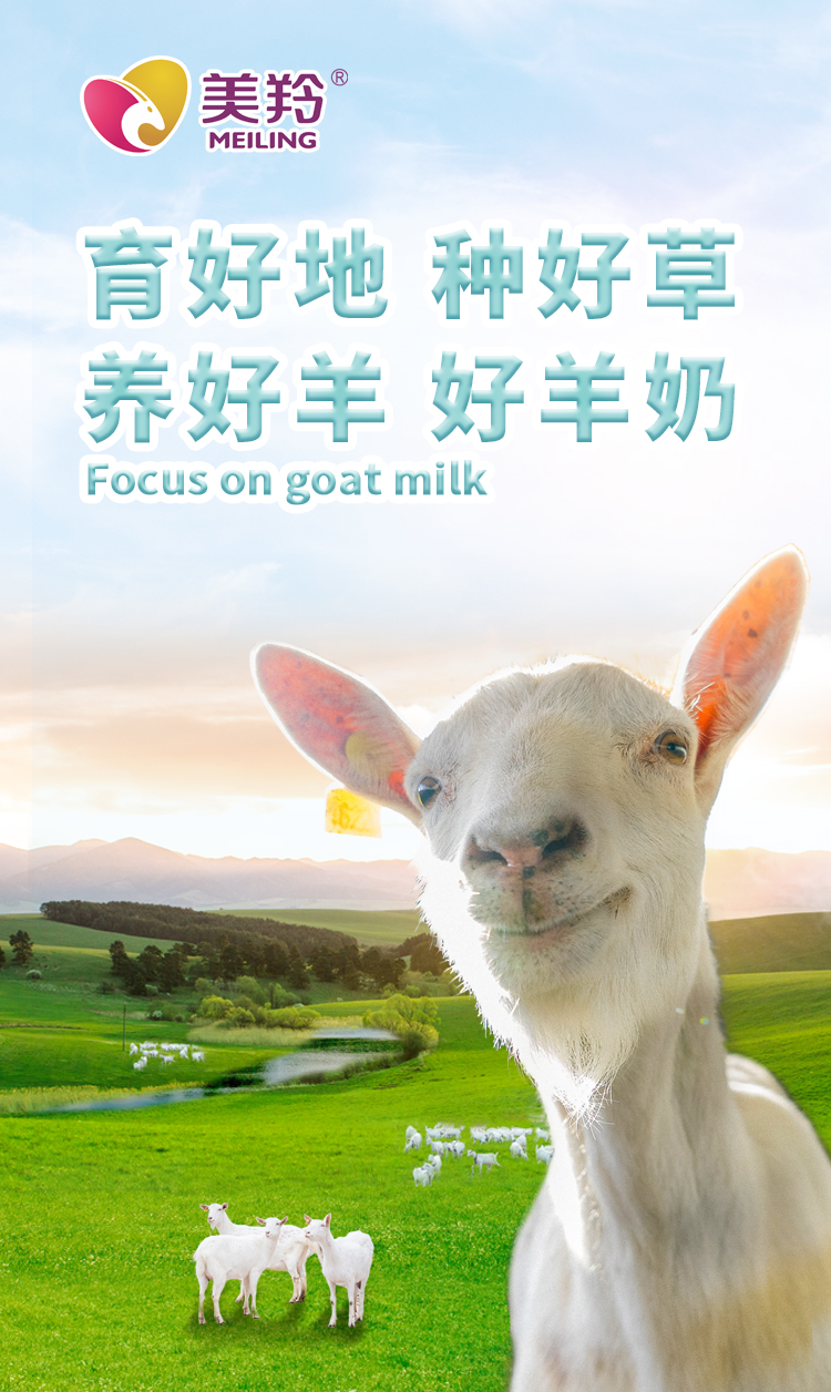 ng28.com - 相信品牌的力量
