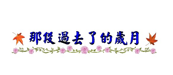 1574842616232212 ng28.com - 相信品牌的力量