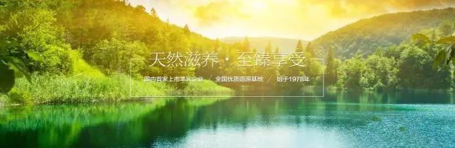 1-1F32G64343296 ng28.com - 相信品牌的力量