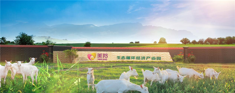 1635931011300275.jpg 图片6.jpg