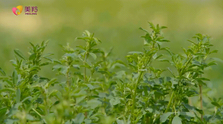 1637809494133075.png 图片.png