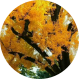 1644311663127077.png 图片4.png