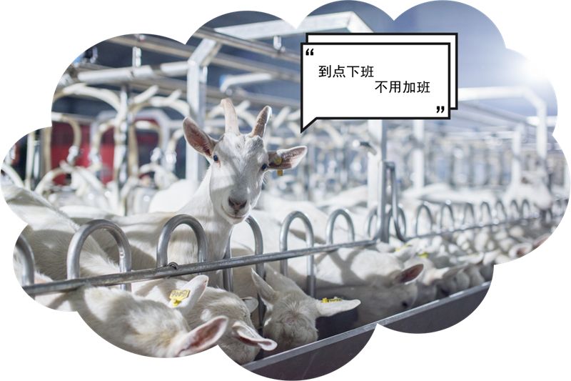 1646301699117752.jpg 图片1.jpg