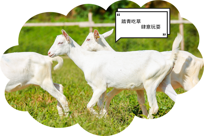1646301718102574.jpg 图片4.jpg