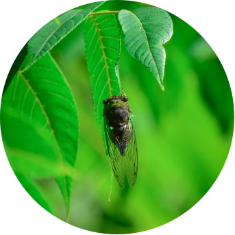 1655778074121547.png 图片4.png