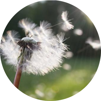 1657165333266581.png 图片2.png