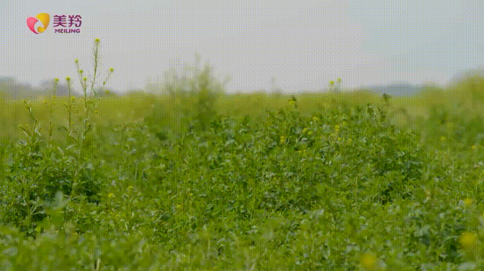 1673258211122649.png image.png