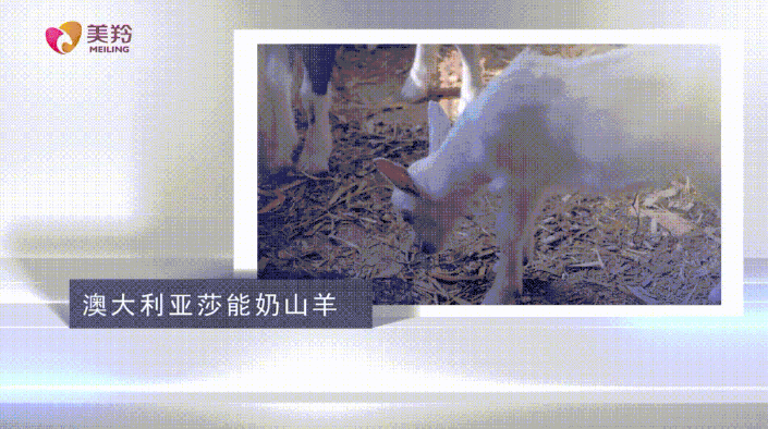 1673258245126556.png image.png