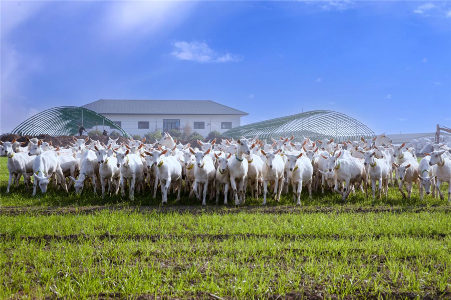 图片4.jpg