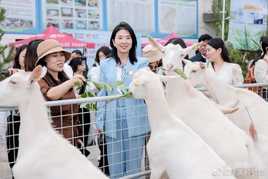 1685790254965762 图片