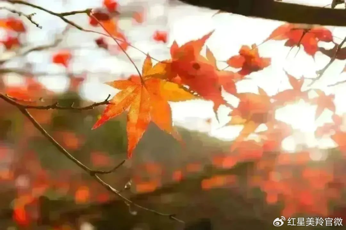 1694167682114490.png image.png