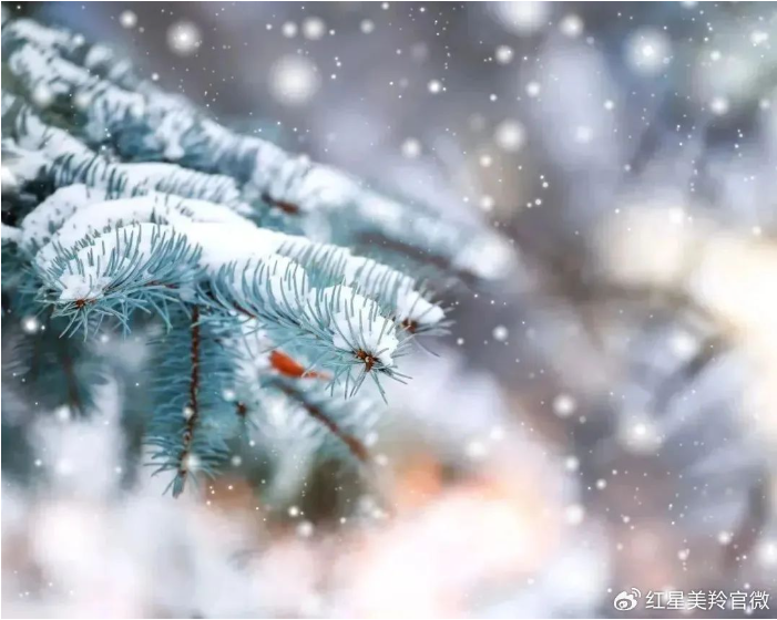 1705740098365038.png image.png