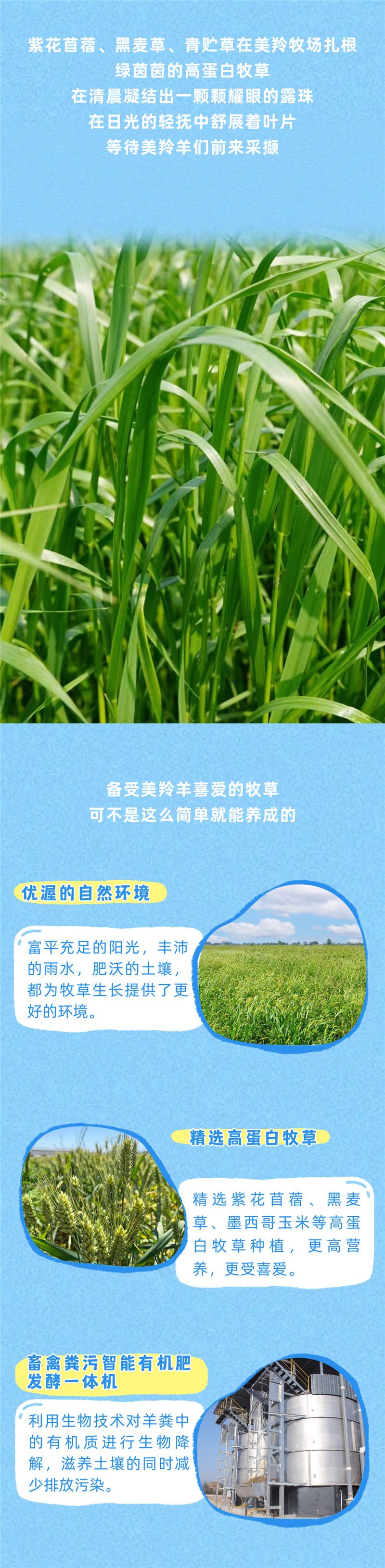 稿定设计-4.jpg