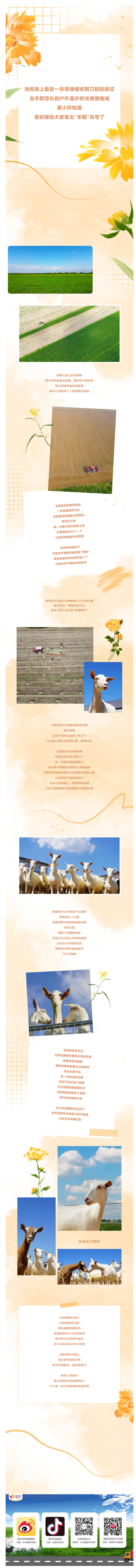 微信图片_20241107085651.jpg