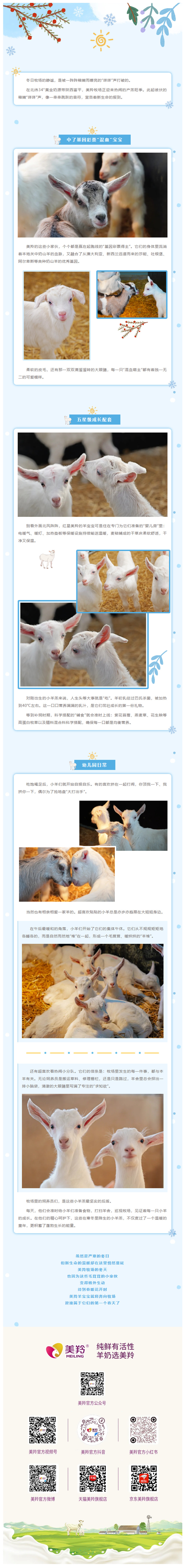587ce383-6a39-4d1a-89dd-6d94d42fa5e8.jpg