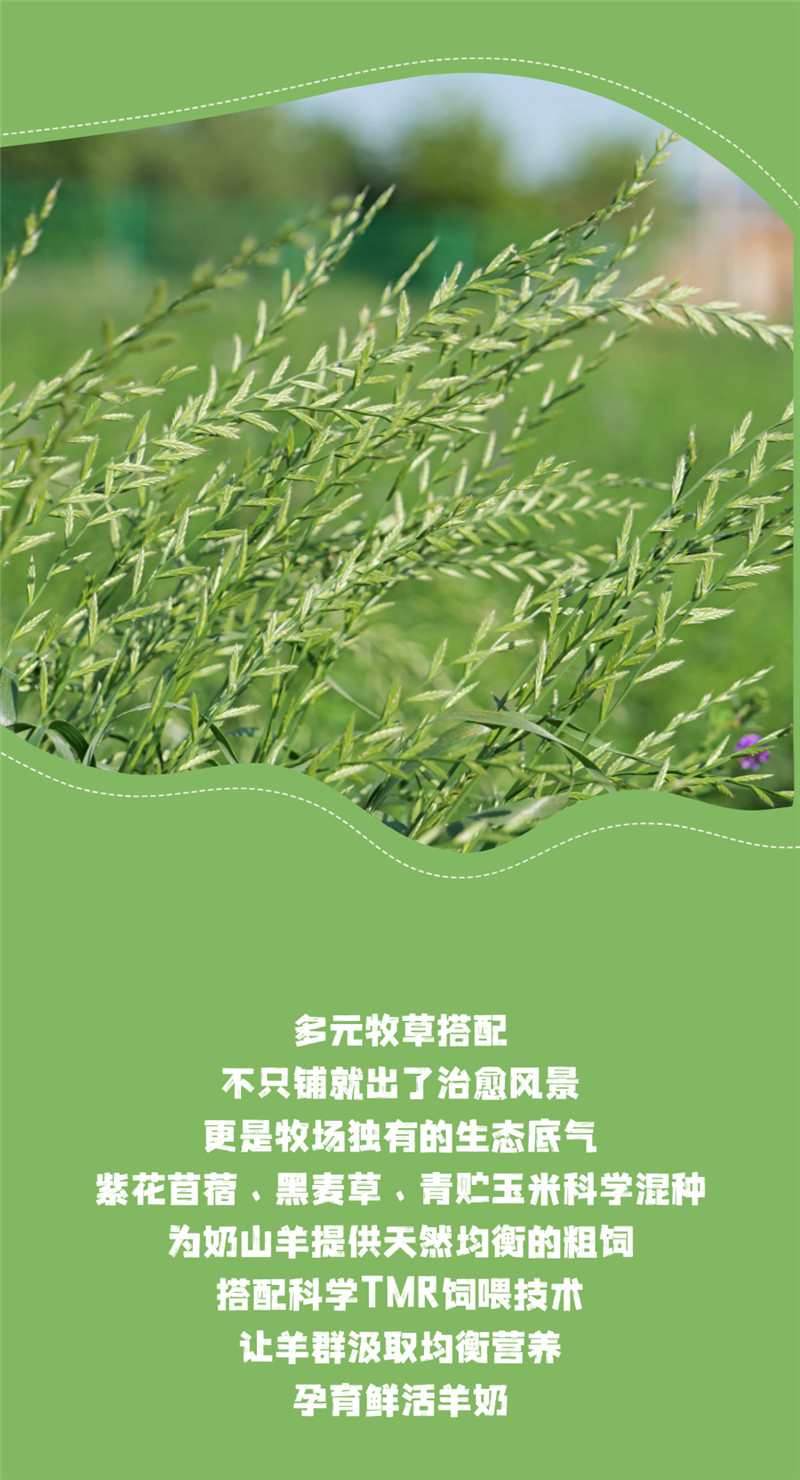 稿定设计-4.jpg